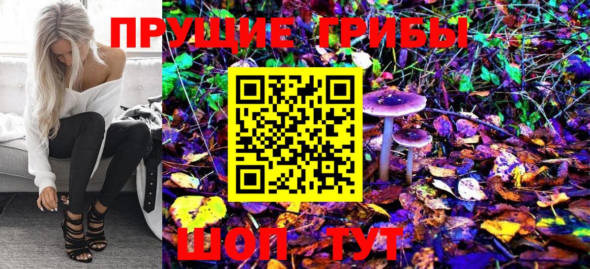 Псилоцибиновые грибы Psilocybe  Вход с VPN  Похвистнево  Галлюциногенные грибы GOLDEN TEACHER 