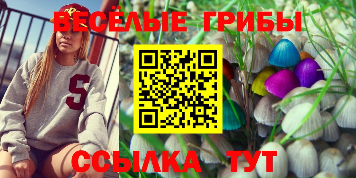 Галлюциногенные грибы Cubensis Похвистнево